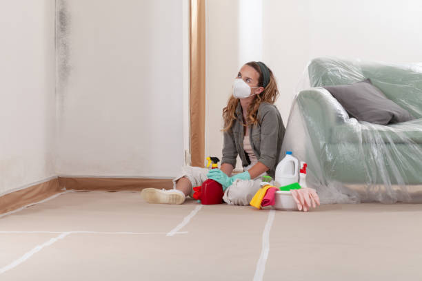 Reliable Mold Cleanup contractor in Ashland, MA by Cheap Mold Removal